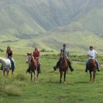 horsebackriding