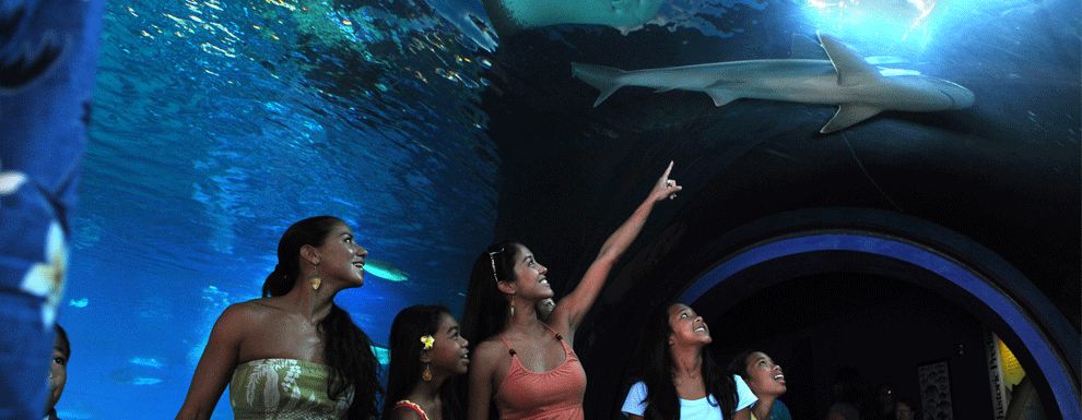 Maui Ocean Center Aquarium