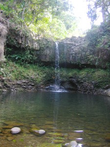 Twin Falls