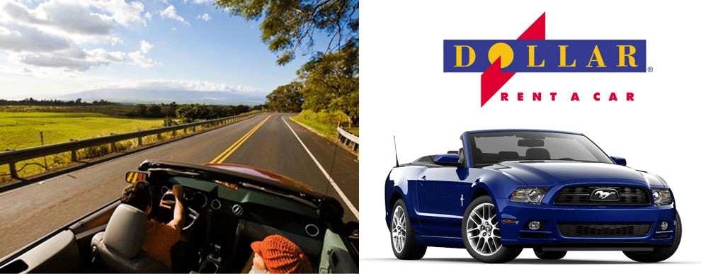 dollar car rental return after hours dollar car rental return after hours
