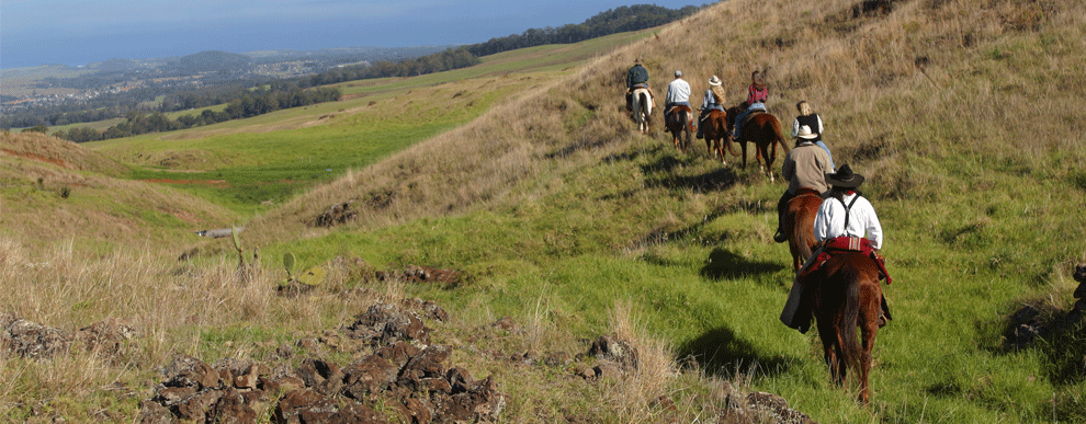Maui Activities - Pony Express Haleakala Ranch Ride | Maui Horseback ...