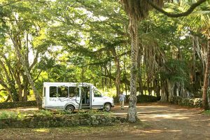 Valley-Isle-Excursions-Tour-Van-at-Palapala-Hoomau-Church